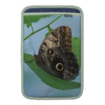 Barnowl Butterfly MacBook Sleeves