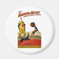 Barnum and Bailey: Football Dogs magnets