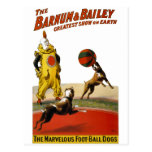 Barnum and Bailey: Football Dogs Post Cards