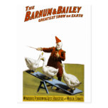 Barnum and Bailey: Performing Geese Post Cards