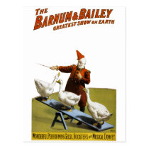 Barnum and Bailey: Performing Geese postcards