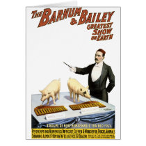 Barnum and Bailey: Performing Pigs cards