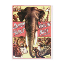 Barnum & Bailey and Ringling Bros Combined - Eleph Post Cards