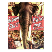 Barnum & Bailey and Ringling Bros Combined - Eleph Post Card