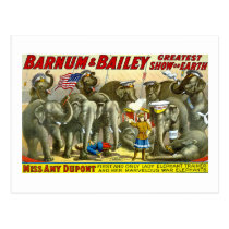 Barnum & Bailey - Elephants postcards