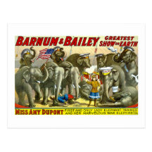 Barnum & Bailey - Elephants Postcards