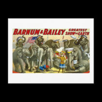 Barnum & Bailey - Elephants - Vintage Ad postcards