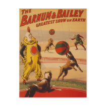 Barnum & Bailey - Marvelous Football Dogs Post Card