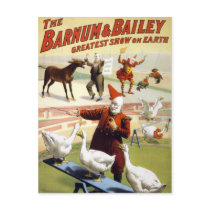 Barnum & Bailey - Wonderful Performing Geese postcards by tartanphoenix Barnum & Bailey - Wonderful Performing Geese postcards