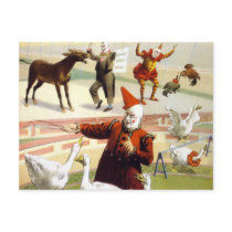 Barnum & Bailey - Wonderful Performing Geese postcards by tartanphoenix Barnum & Bailey - Wonderful Performing Geese postcards