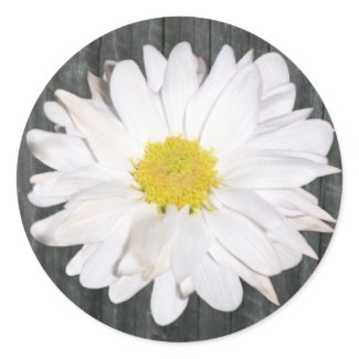 Barnwood and Daisy Sticker sticker