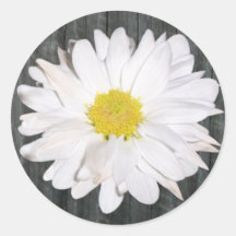 Barnwood and Daisy Sticker
