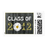 Barnwood & Daisy Class Of 2012 Graduation Postage