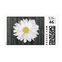 Barnwood & Daisy Postage Stamp