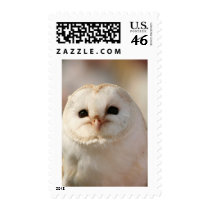 Barny the Barn Owl Postage