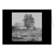 Barnyard and Horses in Gettysburg 1863 cards