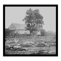 Barnyard and Horses in Gettysburg 1863 posters