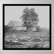 Barnyard and Horses in Gettysburg 1863 Posters