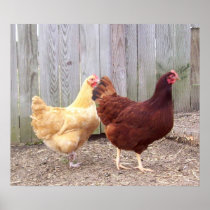 Barnyard Buddies Poster