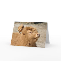 Barnyard friends cards