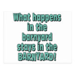 Barnyard Post Card
