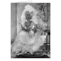 Baroness in Wedding Dress Cards