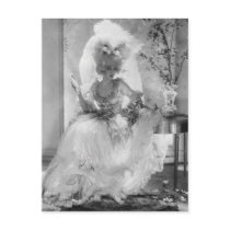 Baroness in Wedding Dress Post Card