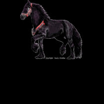 Baroque Friesian Shirts, Customizable