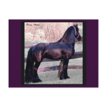 Baroque Horse Postcard, Customizable by RookyStudios Baroque Horse Postcard, Customizable