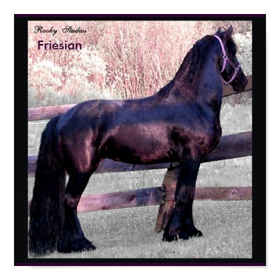 Baroque Horse Poster by RookyStudios