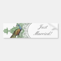 Baroque Peacock Just Married - aqua blue Bumper Stickers