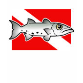 Great Barracuda Dive Flag 