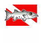 Barracuda Dive Flag 