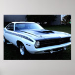 Barracuda posters