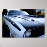 Barracuda posters