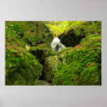 Barranco cubierto de musgo de las caídas del rugid posters