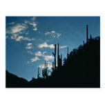 Barranco de Sabino, Arizona Postales