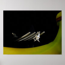 Barras de mono posters