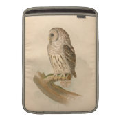 Barred Owl Artwork Macbook Air Sleeve
