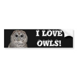 Barred Owl Bumper Stickers