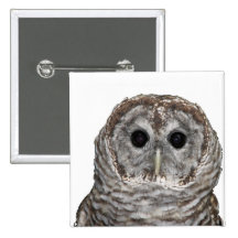 Barred Owl Buttons