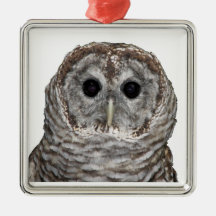 Barred Owl Christmas Ornaments