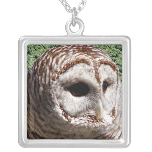 Barred Owl Custom Jewelry