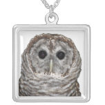 Barred Owl Custom Jewelry