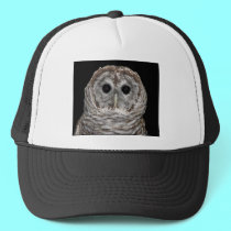 Barred Owl hats by Artists4God Barred Owl hats