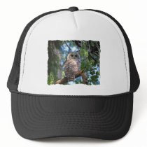 Barred Owl Mesh Hat