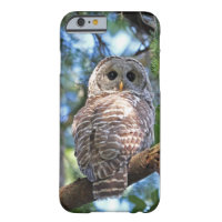 Barred Owl in the Forest iPhone 6 Case