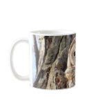 Barred Owl in Tree Mug