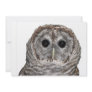 Barred Owl Personalized Announcement