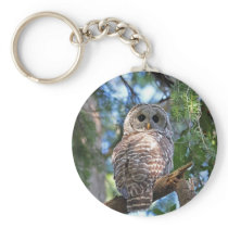 Barred Owl Key Chains